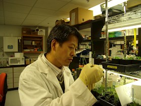 高清华 研究员  果树遗传育种技术及应用研究