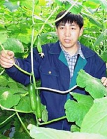 陈春宏　研究员　大型现代温室蔬菜的栽培与管理