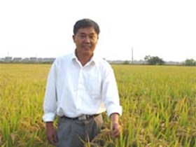 袁　勤　研究员　水稻育种及高产栽培技术