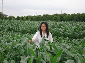 沈雪芳　研究员　玉米遗传育种、栽培和分子生物学