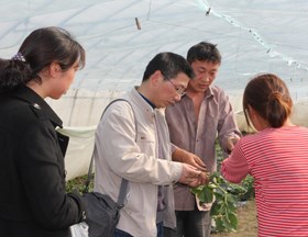 绿色田野、植保使者——生态所戴富明