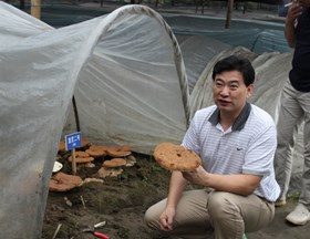 劲草不折  松柏后凋——食用菌所张劲松