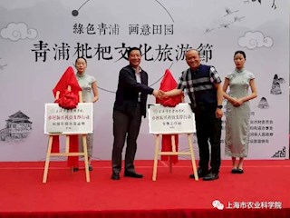上海联怡枇杷乐园乡村振兴科技引领示范基地、专家工作站揭牌成立