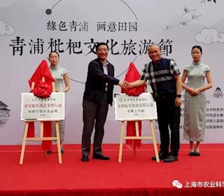 上海联怡枇杷乐园乡村振兴科技引领示范基地、专家工作站揭牌成立
