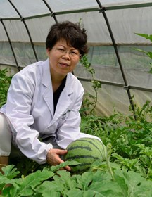 顾卫红　研究员　优质特色瓜果蔬菜新品种选育和推广