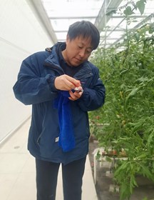 朱为民　研究员　设施栽培技术和品种选育