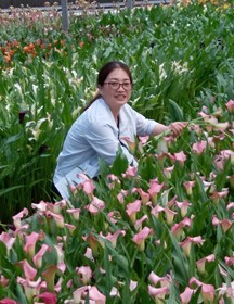 杨柳燕　研究员　园林植物资源评价和育种研究