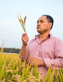程　灿　研究员　杂交粳稻育种及繁制种