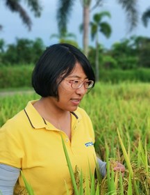 刘国兰　研究员　节水抗旱稻的分子育种研究