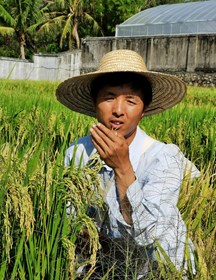 上海市农业生物基因中心--刘毅（2017-2018年度）