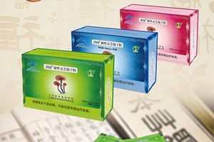 食用菌深加工产品