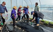 【先行区共建】对照先行区共建方案，落实西甜瓜工作指标