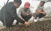 【先行区共建】园艺所科技人员赴金山基地指导春播工作