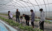 【先行区共建】生态所植病团队赴金山区开展我市西瓜甜瓜产业体系对接交流与基地病害防控指导