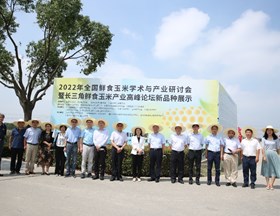 2022年全国鲜食玉米学术与产业研讨会暨长三角鲜食玉米高峰论坛在上海召开