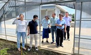 【先行区共建】园艺所科技人员赴金山区开展绿叶菜生产调研与技术服务