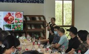 【先行区共建】蟠桃评比暨桃新优品系推介会在金山吕巷举行