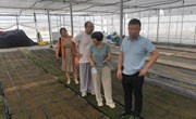 【先行区共建】园艺所科技人员赴金山开展先行区共建工作对接