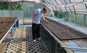 【先行区共建】园艺所科研人员赴金山区指导花菜、西兰花的育苗栽培