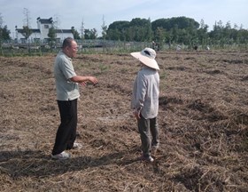 【先行区共建】园艺所科研人员赴金山区指导花菜、西兰花生产