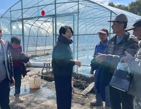 【先行区共建】园艺所科技人员赴金山开展西瓜种植技术指导