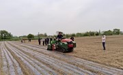 【先行区共建】基因中心与廊下镇联合召开节水抗旱稻机覆全生物降解膜旱直播旱管示范现场会