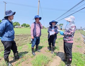 【先行区共建】生态所杂草管理团队赴金山区对接杂草稻防除试验