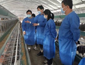 【先行区共建】黄羽肉鸡育种团队赴金山区开展瓢鸡繁育技术指导工作