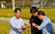 【先行区共建】“院区合作”挂职人员助推科研成果落地金山