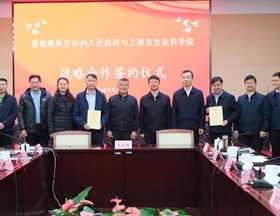 云南省楚雄州委书记刘勇率队来我院调研