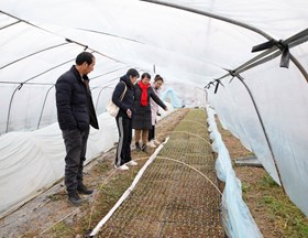 【先行区共建】生态所科技人员赴金山示范基地进行病害防控指导