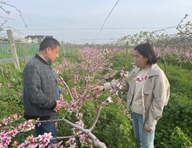 【先行区共建】有益生物利用和有害生物防控团队赴金山区开展果树害虫绿色防控技术指导