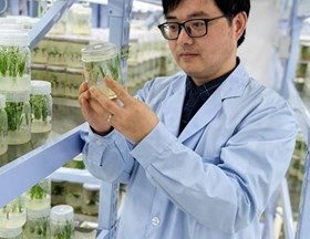 陈志伟　研究员　主粮作物单倍体育种技术研发与抗逆分子机理研究