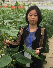 张红梅　研究员　黄瓜、苦瓜育种