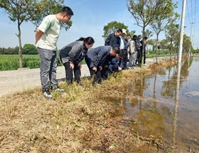【先行区共建】作物所水稻中心专家前往金山松江指导粮食生产