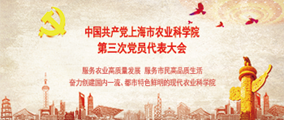 第三次党员代表大会