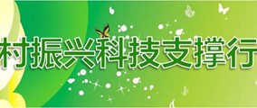 乡村振兴