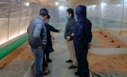 国家家禽中心科技人员应邀赴浙江衢州开展技术服务