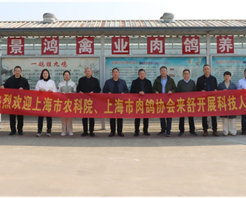 我中心上海肉鸽产业体系首席杨长锁一行赴安徽鸽场开展调研
