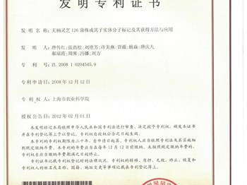 无柄灵芝126菌株或其子实体分子标记及其获得方法与应用