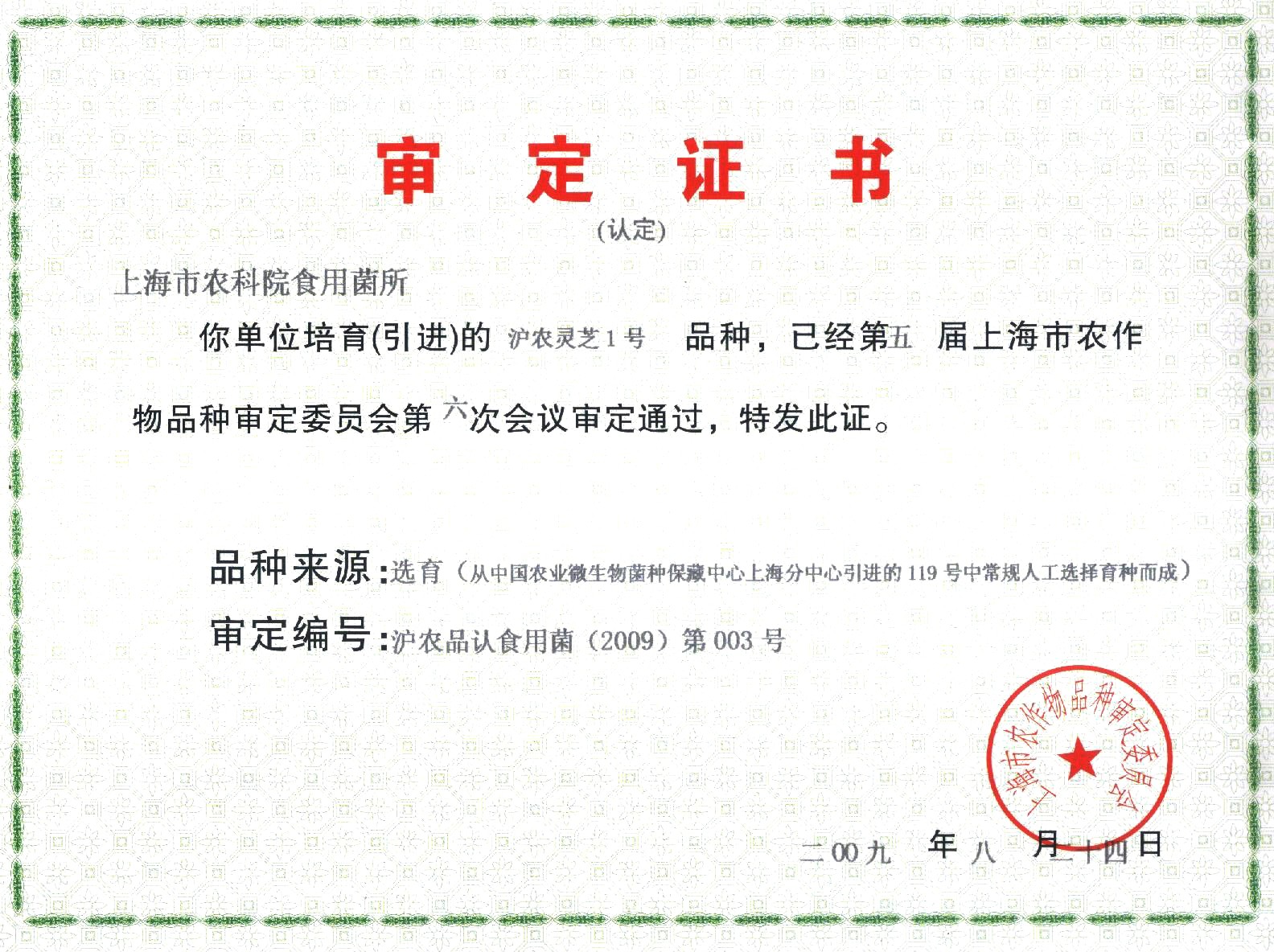 灵芝1号品种审定证书