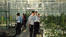 吴江市科技局农村科技与社会发展科科长石建光一行来我院开展科技交流活动