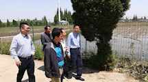 《稻鳅共作技术研究与示范》项目进行中期检查