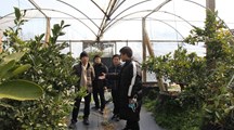 生态所专家赴长兴岛前小桔创意农场调研
