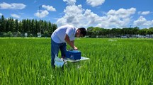 【文汇报】上海市郊有块特殊试验田，不种粮不种菜，只为摸清一粒米背后的“碳账本”