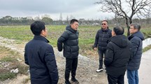 我院科技人员赴崇明区八滧村开展乡村振兴技术服务工作