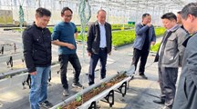 生态所科技人员赴上海农场调研