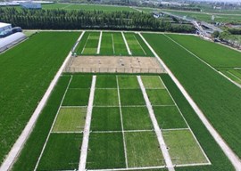 农业农村部东南沿海农业绿色低碳重点实验室