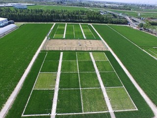 农业农村部东南沿海农业绿色低碳重点实验室