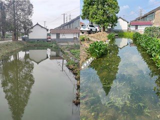 河湖缓冲带生态修复及水环境治理成套技术